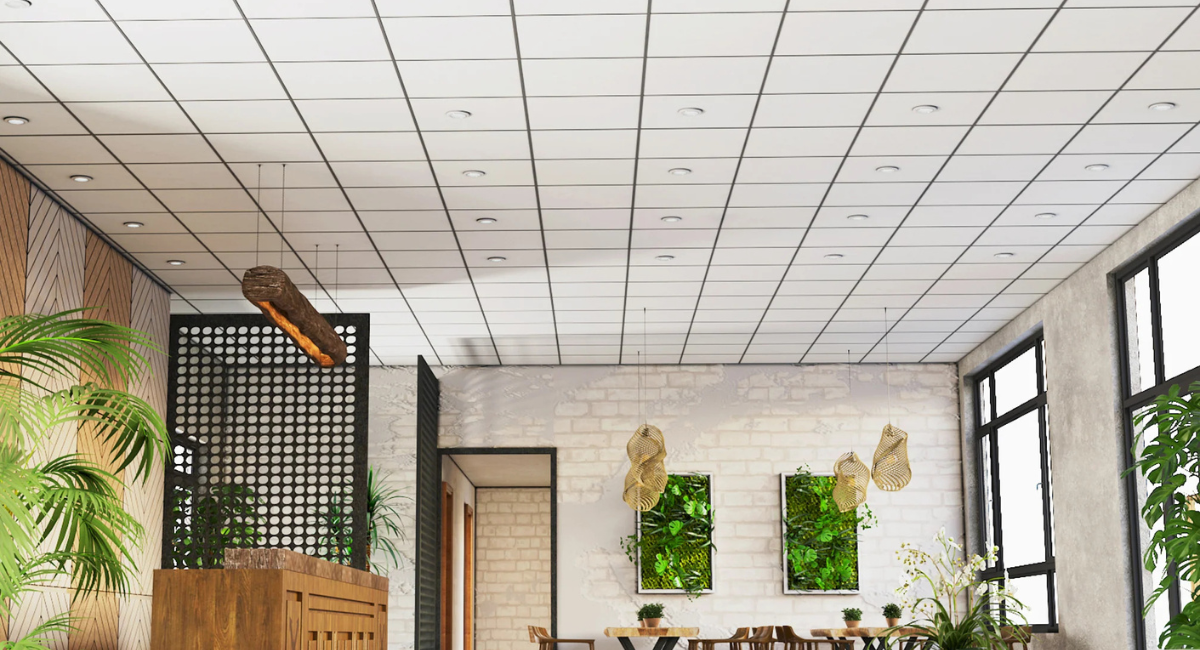 Untitled design - 2025-12-06T120600.401