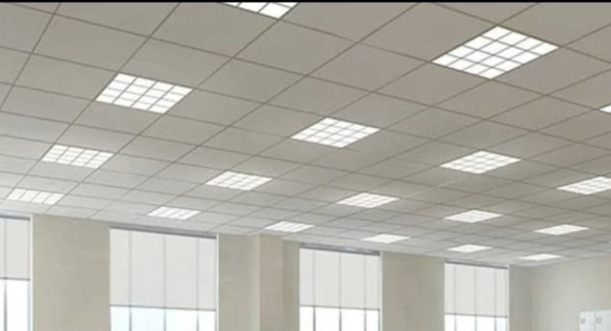 Untitled design - 2025-12-06T120629.641