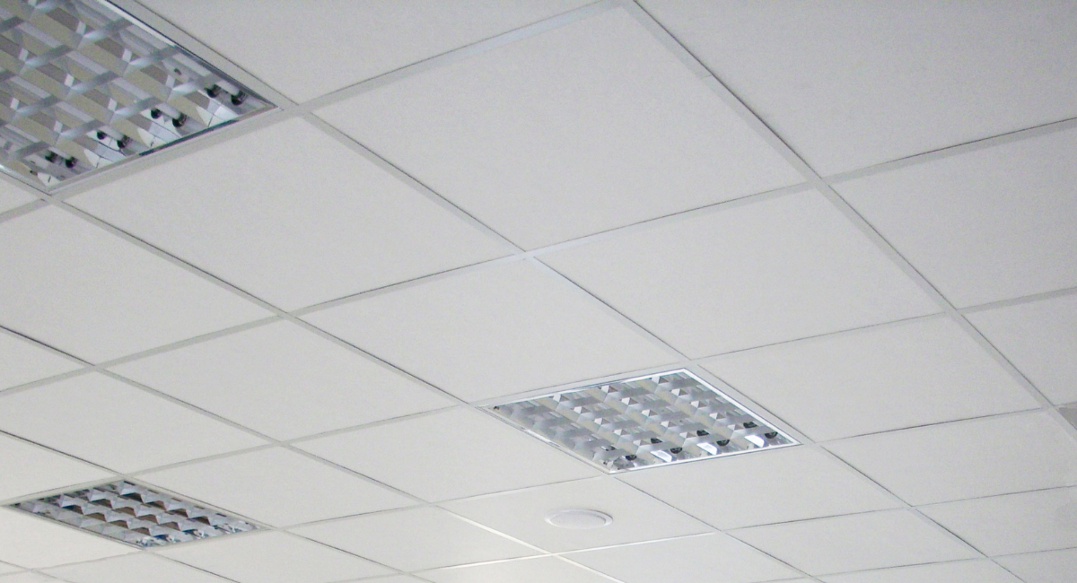 Untitled design - 2025-12-06T120640.477