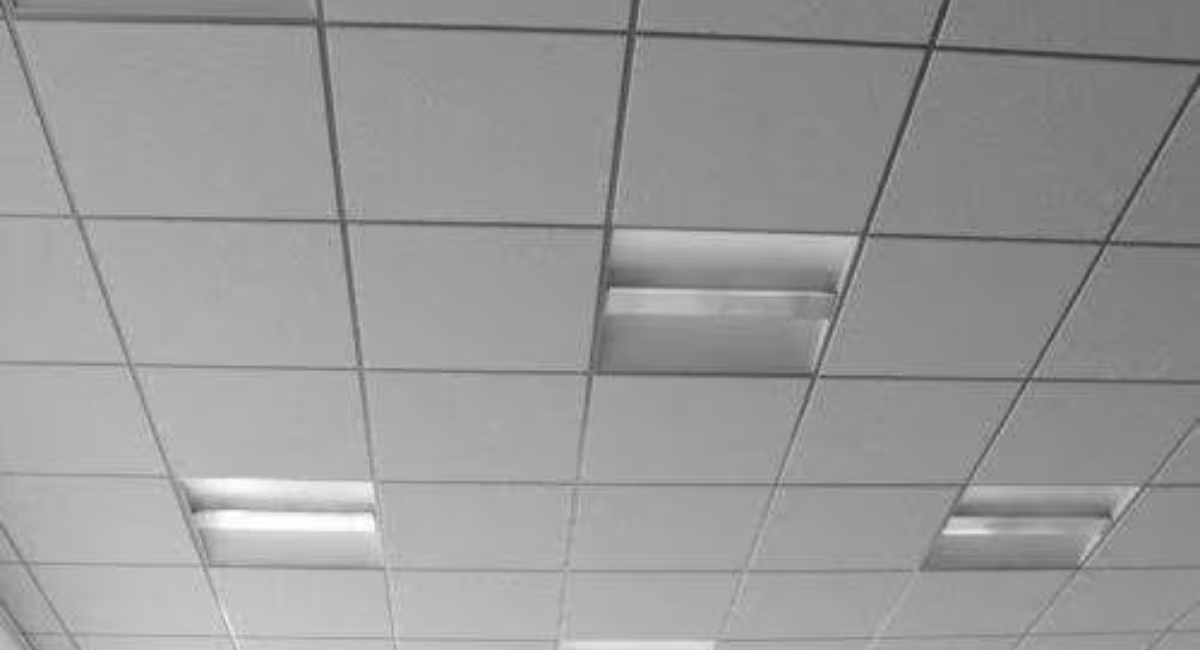 Untitled design (62)