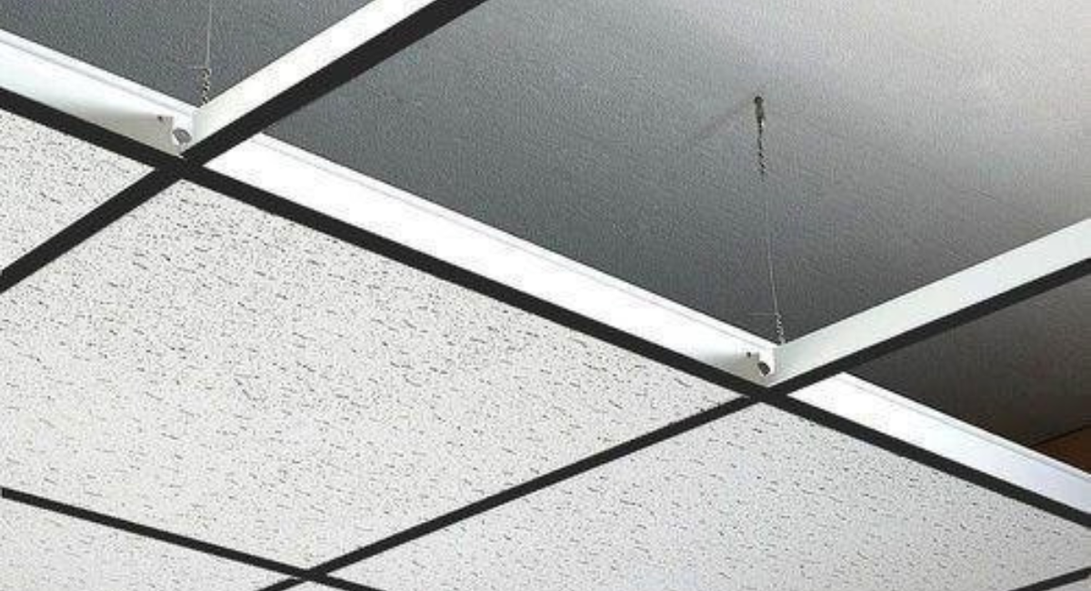 Untitled design (63)