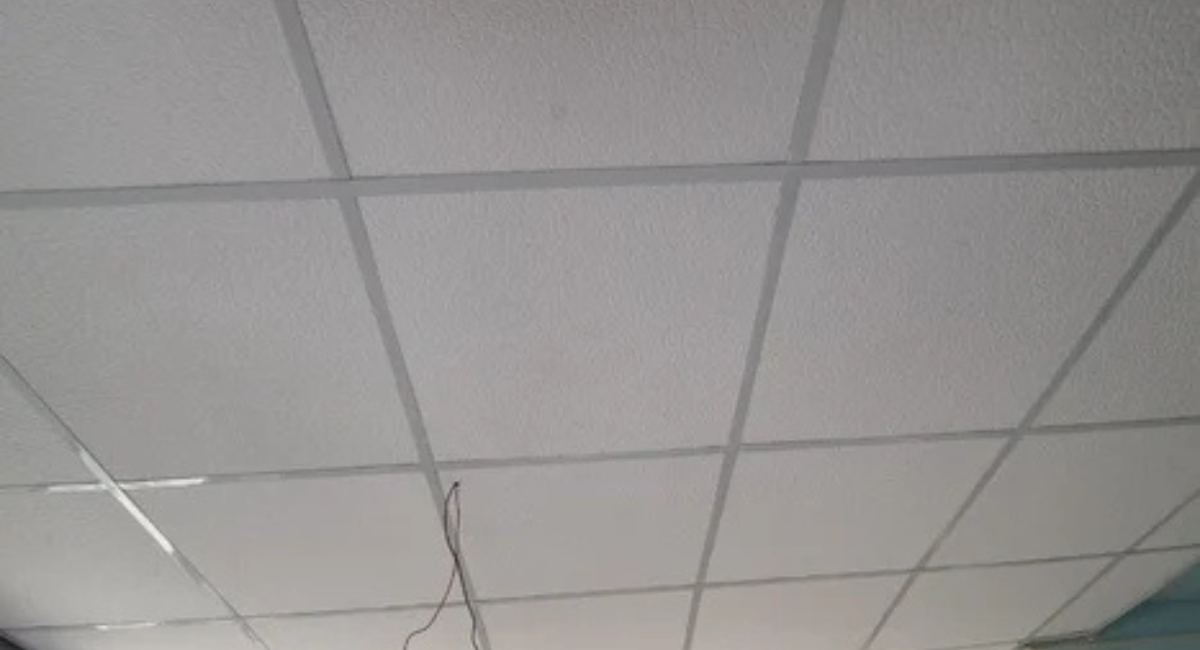 Untitled design (64)